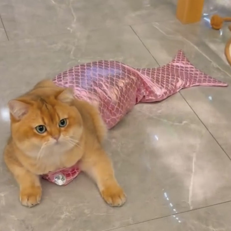Funny Pet Mermaid Clothing