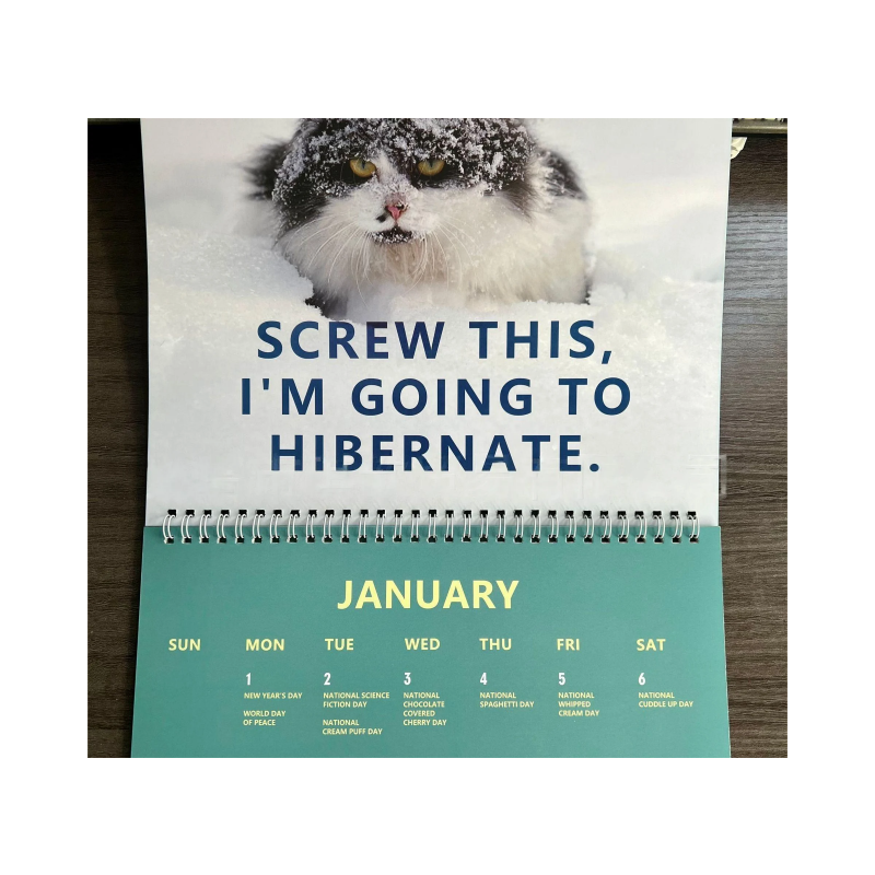 2025 Pissed-Off Cats Calendar