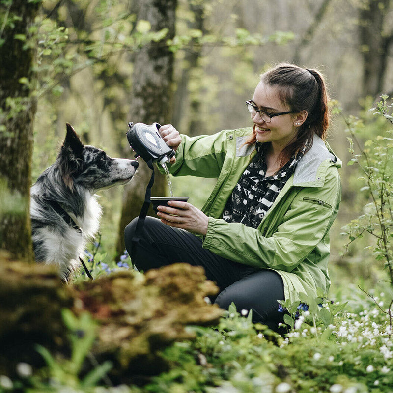 TrustOwl™ 4 in 1 Dog Retractable Leash