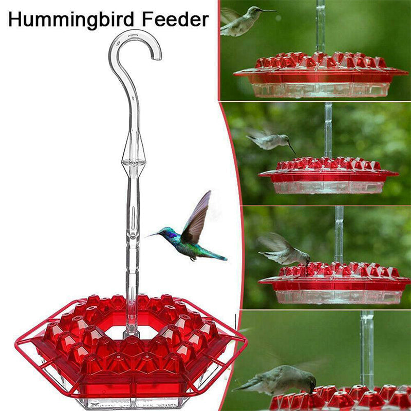 New Hummingbird Feeder