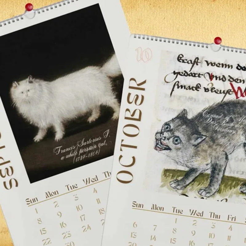 2024 Wall Hanging Calendar, Funny Art Novelty Gift