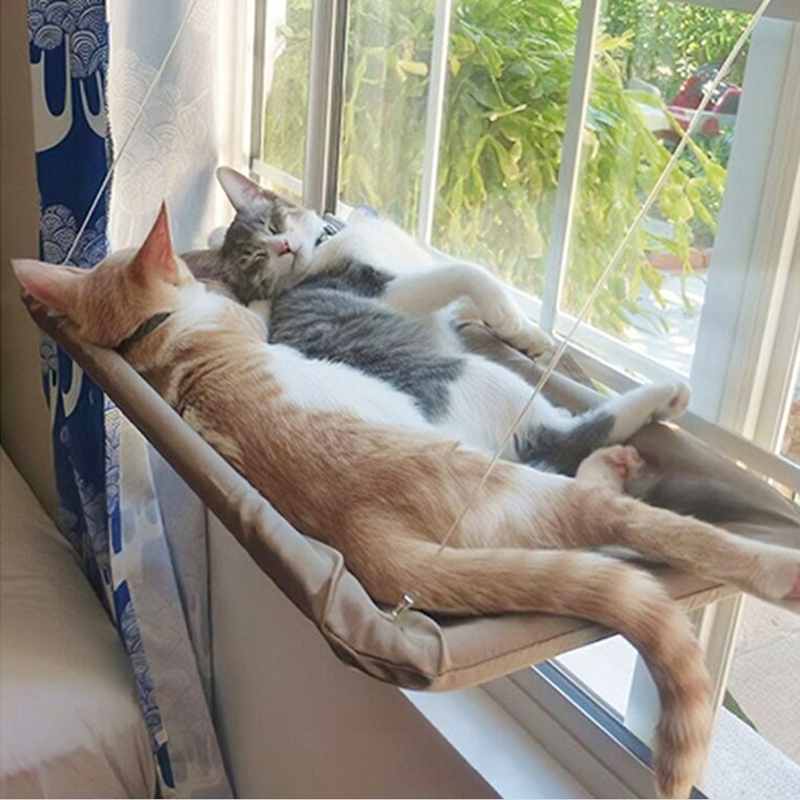 Indoor Cat Hammock