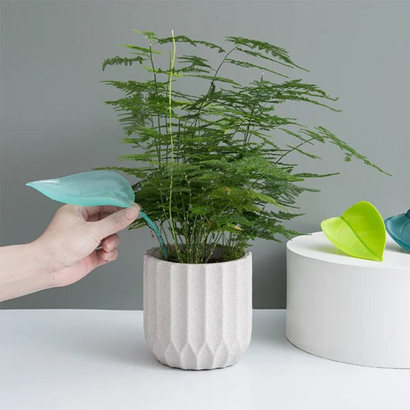 Funny Watering Leaves (6pcs)