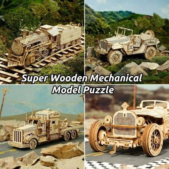 Super Wooden Mechanical Model Puzzle Set