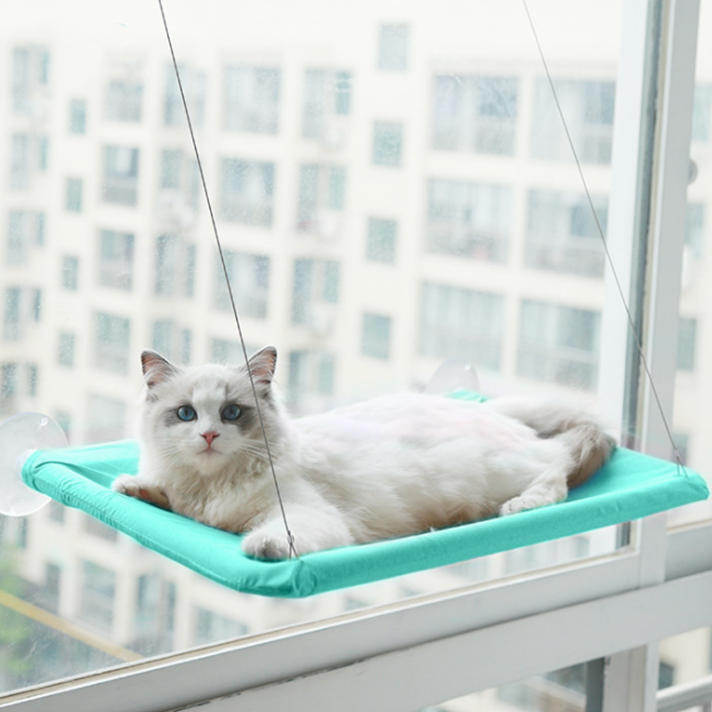 Indoor Cat Hammock